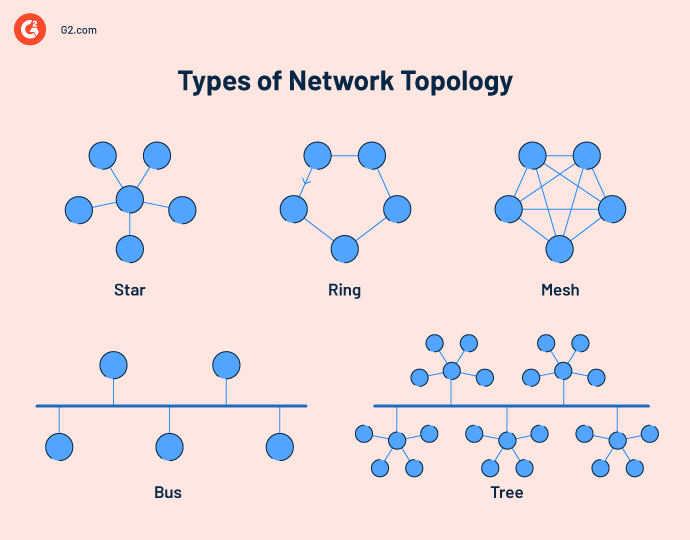 What Is Network Topology? Types, Diagrams, And Benefits